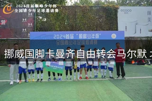 挪威国脚卡曼齐自由转会马尔默 北欧劲旅后防再添强援